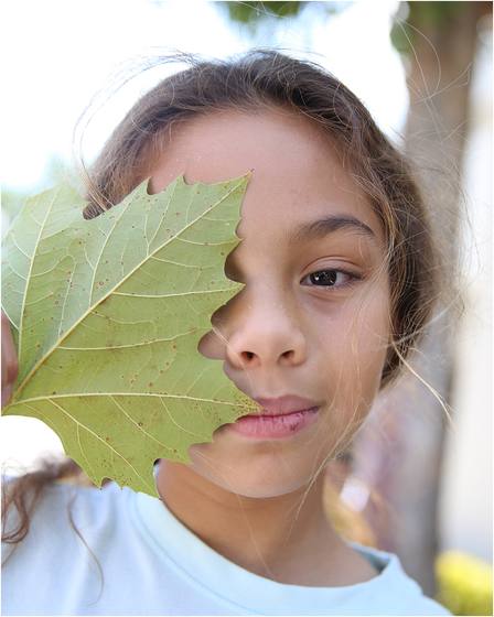 Close-up study of a leaf held to a camper's face